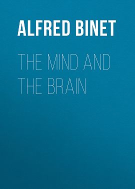 The Mind and the Brain