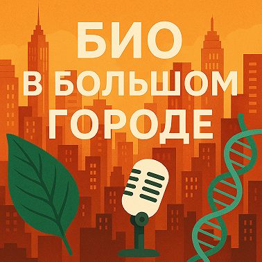 Трейлер: о чем этот подкаст?