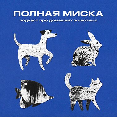 Полная миска | Мир глазами питомца