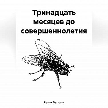 Тринадцать месяцев до совершеннолетия
