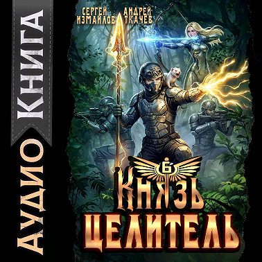 Князь Целитель 6