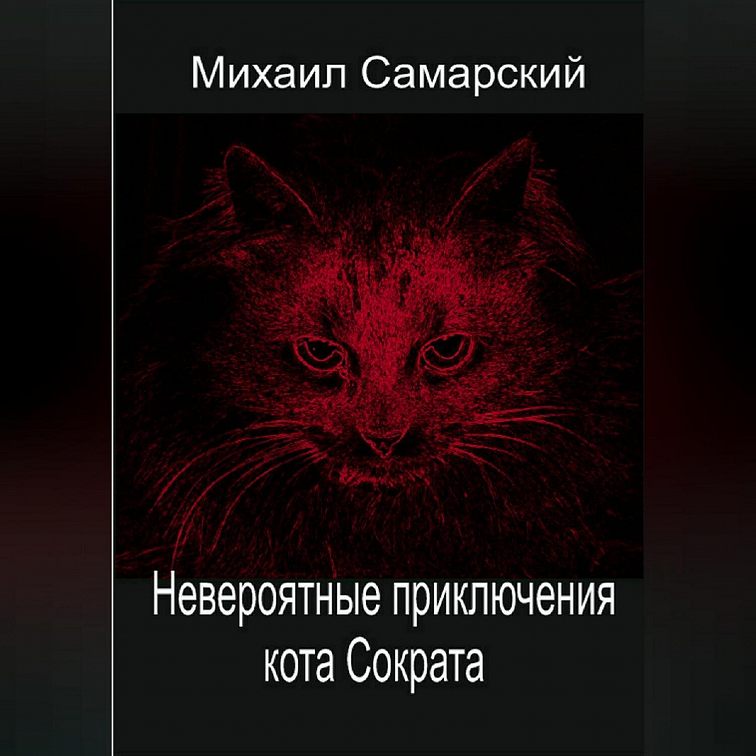 Книга приключения кота сократа